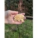  Boar jewelry. Gullinbursti amulet.